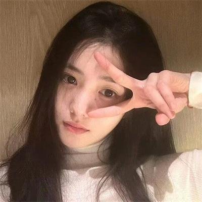 胡同猫